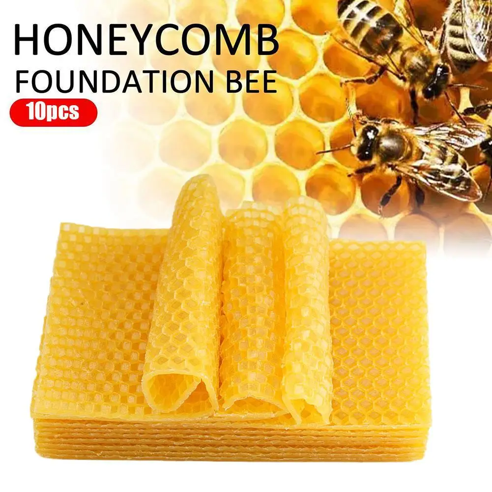 10Pcs Natural Beekeeping Bee Base Honeycomb Pieces Foundation Mould Beehive Shovel Beekeeping Beeware Beeswax Making Tools