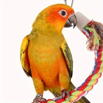 1pc Parrot Bird Toy Hanging Braided Rope Pet Stand Training Accessories,Bird Cage Accessories Swing Toy - Image 4