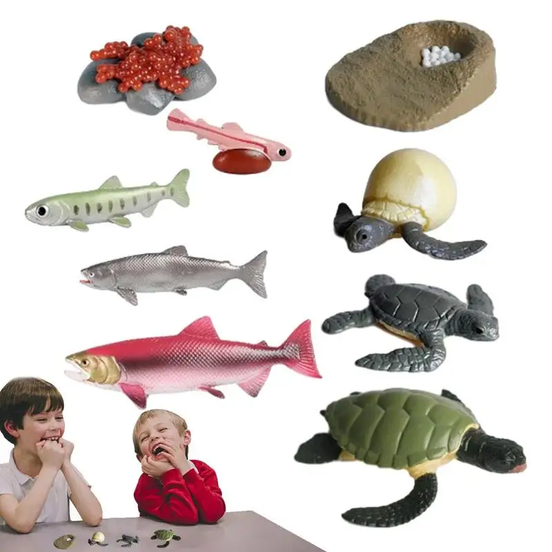 

Life Growth Cycle Simulation Sea Turtle Salmon Fish Action Figures Animal Model Baby Educational Miniature Kids Toy 9PCS/Set