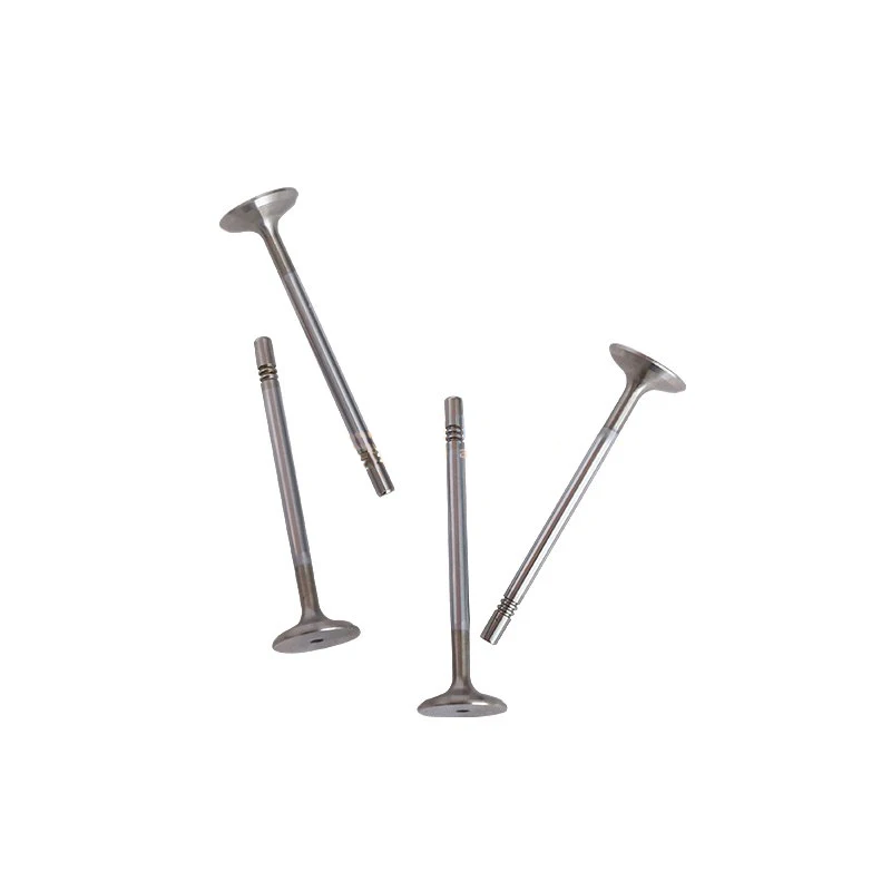 

4PCS Truck Intake Valve PV10001497 for Aucan Diesel Engine Part