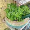 1pc GreenGarden Handheld Soil Hole Puncher Plastic Seedling Transplanting Tool for Planting Cuttings and Seedlings 6