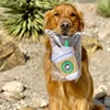 Chewing and Squeaking Dog Toys Pet Dogs and Cats Plush Coffee Cups Durable Interactive Pet Teeth Grinding Toys Dog Accessories 3