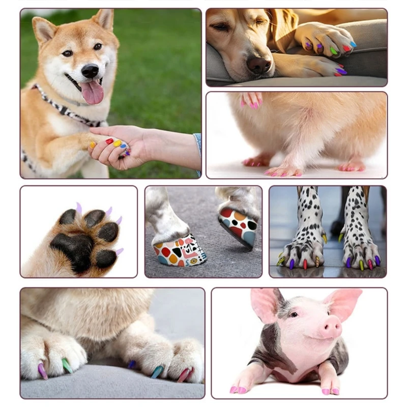 12Pcs Pet Polish Pen Set for DIY Dog Nails, Water-Based Pet Polish