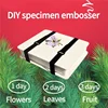 1 Set Plant Specimen Tool Kit DIY Dry Flower Press Wooden Plant Press Tool Flower Press Kit Plant Leaf Press Set 6