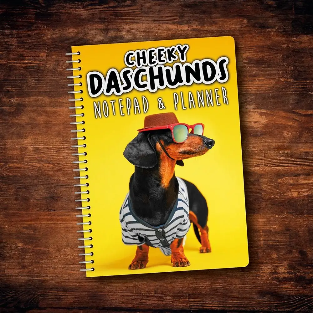 Cheeky Dachshunds - 2024 Wall Calendar Cheeky Dachshund Time Planning Wall Calendar  2024 New Dachshund Wall Calendar - AliExpress