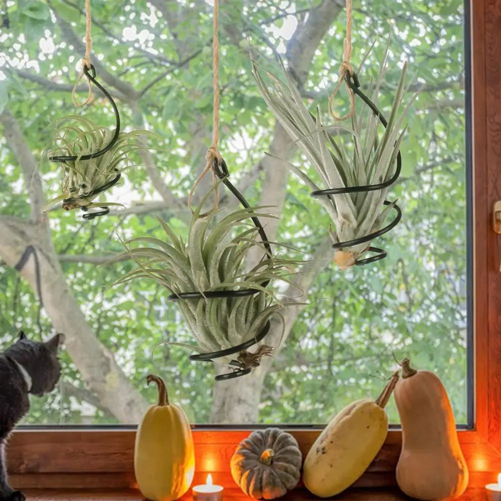 Storage Basket 6 Pcs Air Plant Holder Metal Hanging for Home Office Balcony
