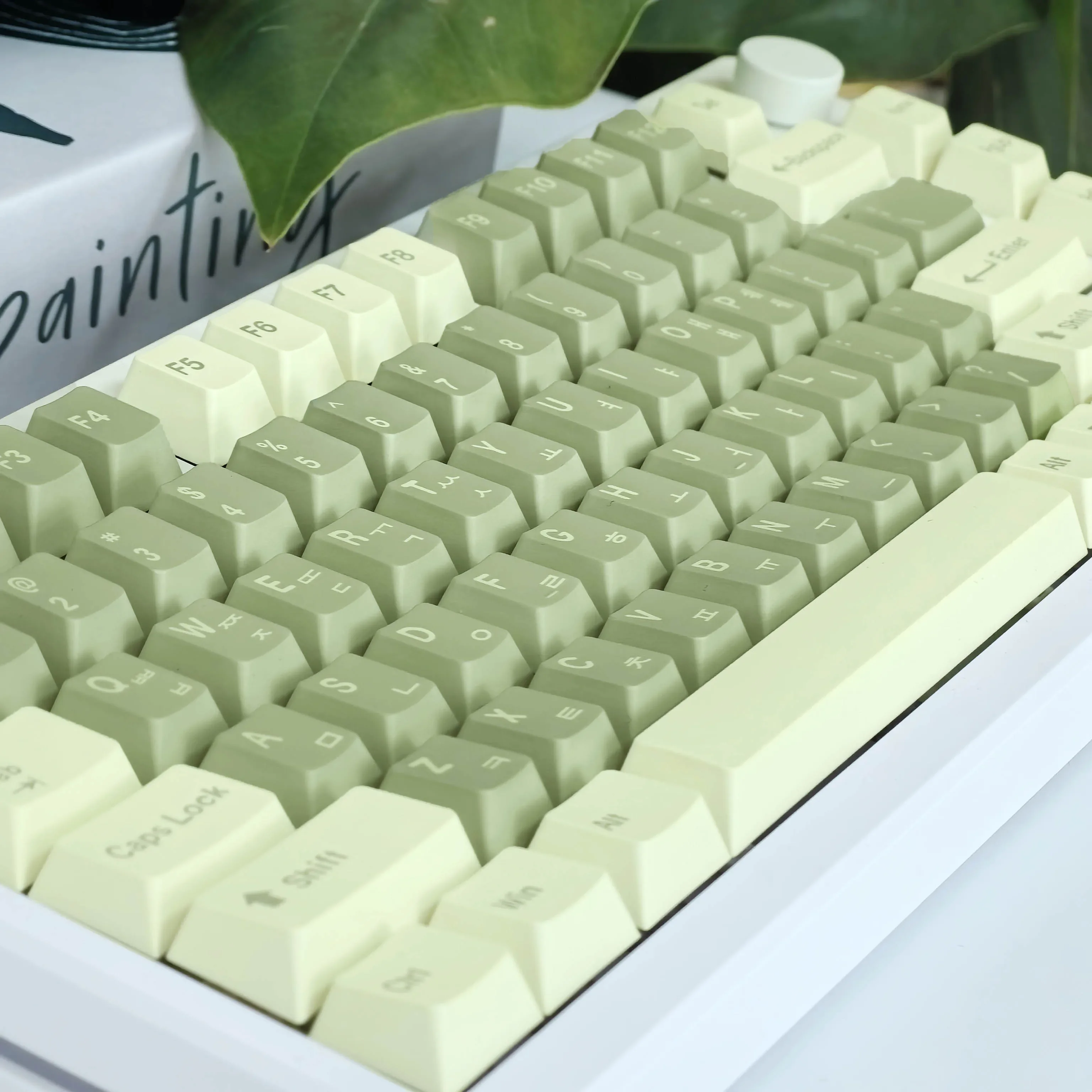 Ű Űĸ ѱ Űĸ, Pbt Cherry, ̼ Ű, 133 Ű, þƾ, ѱ Űĸ, ż, 