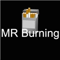 MR Burning Store