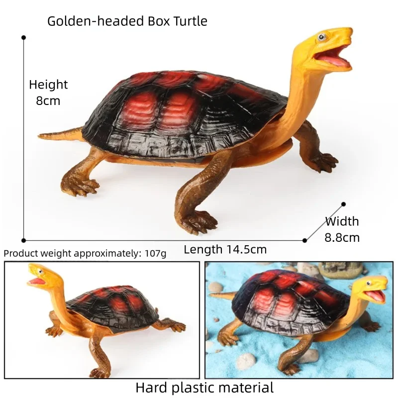 Realistic Aquatic Animal Figurine Set - Otter & Box Turtle Educational Display Statue