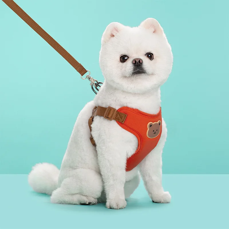 Breathable Pet Harness and Leash Set - Adjustable Vest for Small to Medium Dogs and Cats