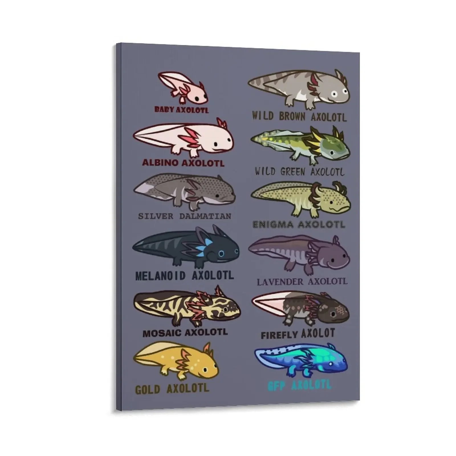 

axolotl morphs and colors Canvas Painting wall art canvas painting office decoration