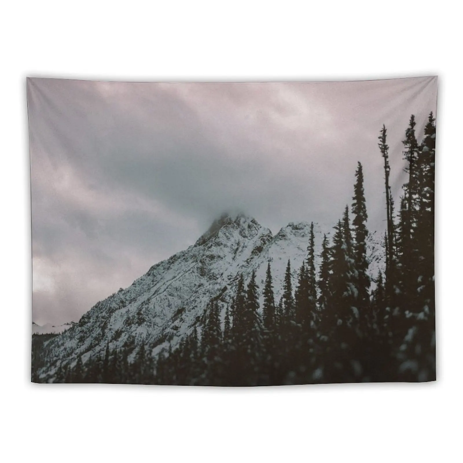 

Mountain Love Tapestry Mushroom Room Aesthetic Decor Tapestry