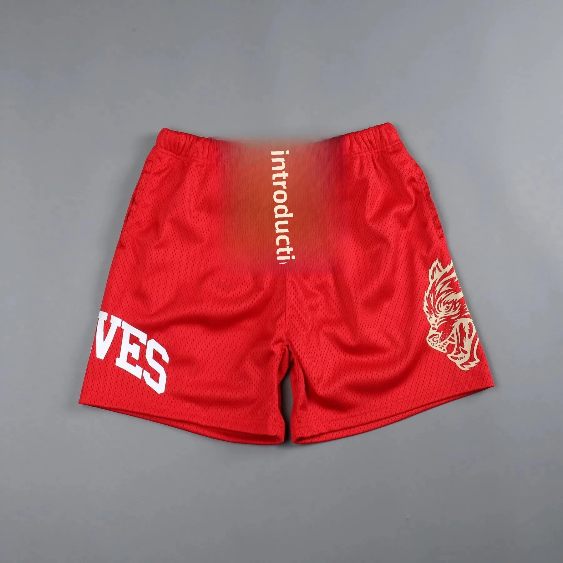 Wish Summer New Men's Fashionable Beach Shorts Mesh Quick Dry Multicolor Sports Quarters Basketball Pants Skateboarding Pants