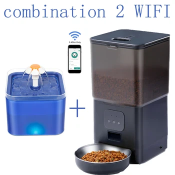 28099-6d2edb.jpg &raquo;