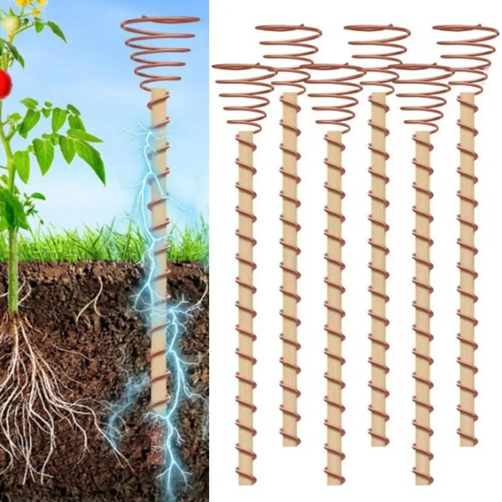 Paletto Da Giardino Da 12 Pollici Per Piante Da Interno Facile Da Installare La Pianta Multifunzionale Supporta La Pianta Di Elettrocoltura Per Un San