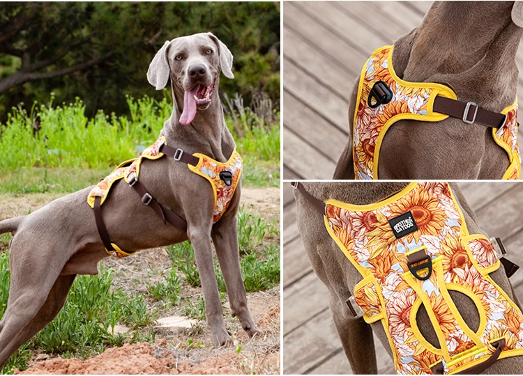 floral harness for dogs