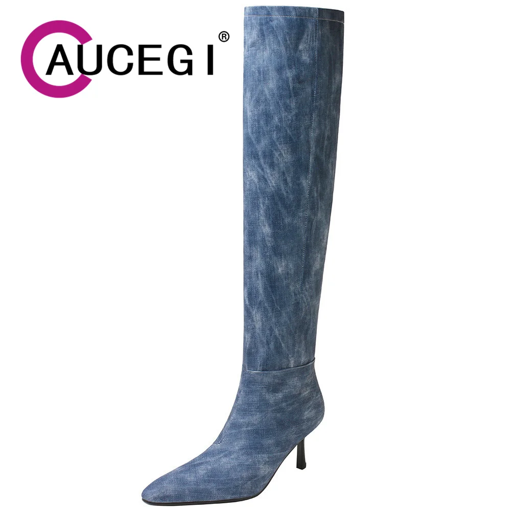 

Aucegi Fashion Women Sexy Pointed Toe Knight Knee High Boots Thin High Heels Autumn Winter Pleated Slip On Banquet Wedding Shoes