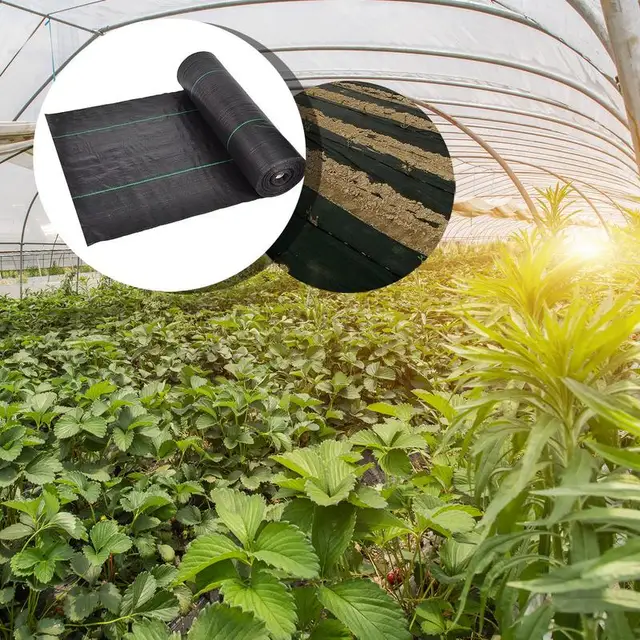 Tájszövet 5 Láb X 30 Kerti Alsó Rész Nagy Teherbírású Gyomnövény Könnyű Beállítás Talajtakaró Szőnyeg Kültéri Kerthez - Image 5