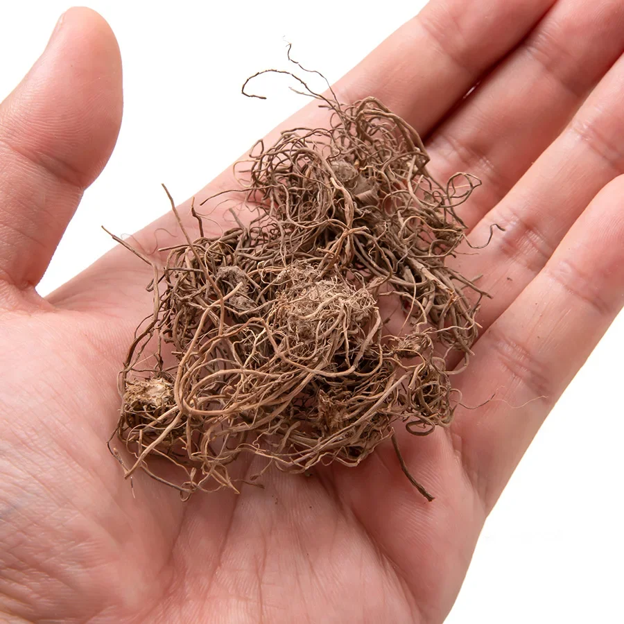 DIY 모델링 시뮬레이션 나무 뿌리 덩굴 식물 건축 조경/철도 기차 레이아웃/군사 풍경/디오라마용
