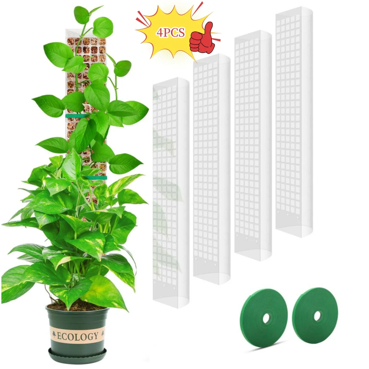 Garden Plant Support Accessories: Moss Pole & Flower Climber