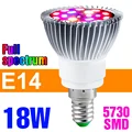 E14 18W