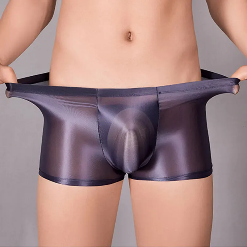 Sissy Full Transparent Briefs High Elastic Underwear Gay Man Ultra Thin Mesh Silky Panties Oil Shiny Penis Pouch Underpants 4