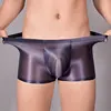 Sissy Full Transparent Briefs High Elastic Underwear Gay Man Ultra Thin Mesh Silky Panties Oil Shiny Penis Pouch Underpants 4