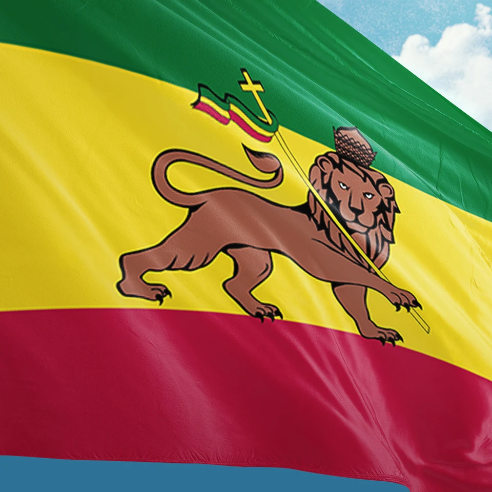 S3f403c926301464b949dce9e77d4a