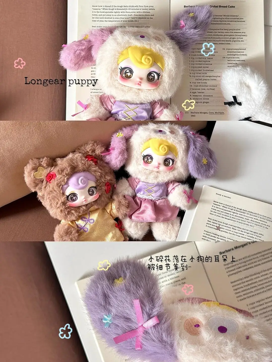 dsc-products