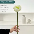 Ruyi Lotus White
