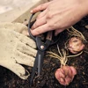 1PC，Professional Grade Root Pruning Scissors Stainless Steel Bonsai Tools Garden Leaf Flowers Household Scissors Hand Scissors 5