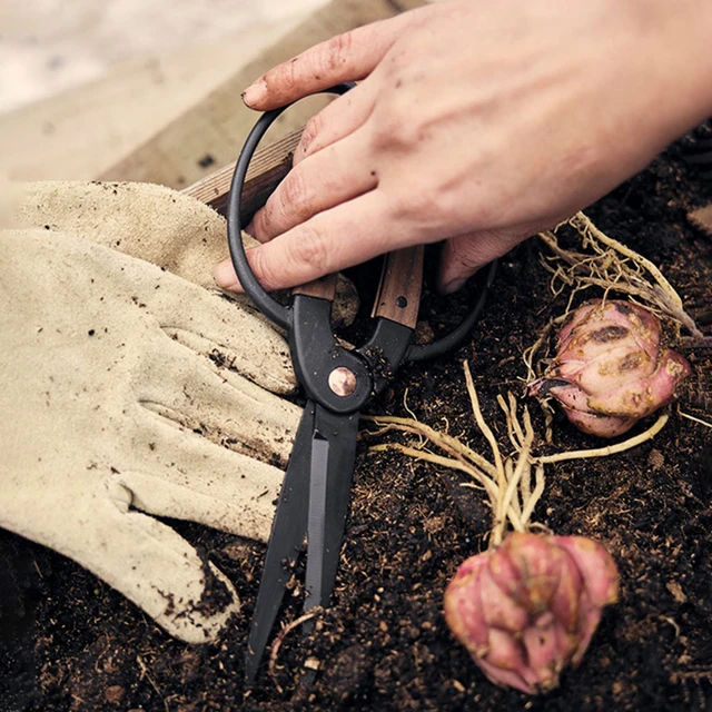1PC，Professional Grade Root Pruning Scissors Stainless Steel Bonsai Tools Garden Leaf Flowers Household Scissors Hand Scissors 5