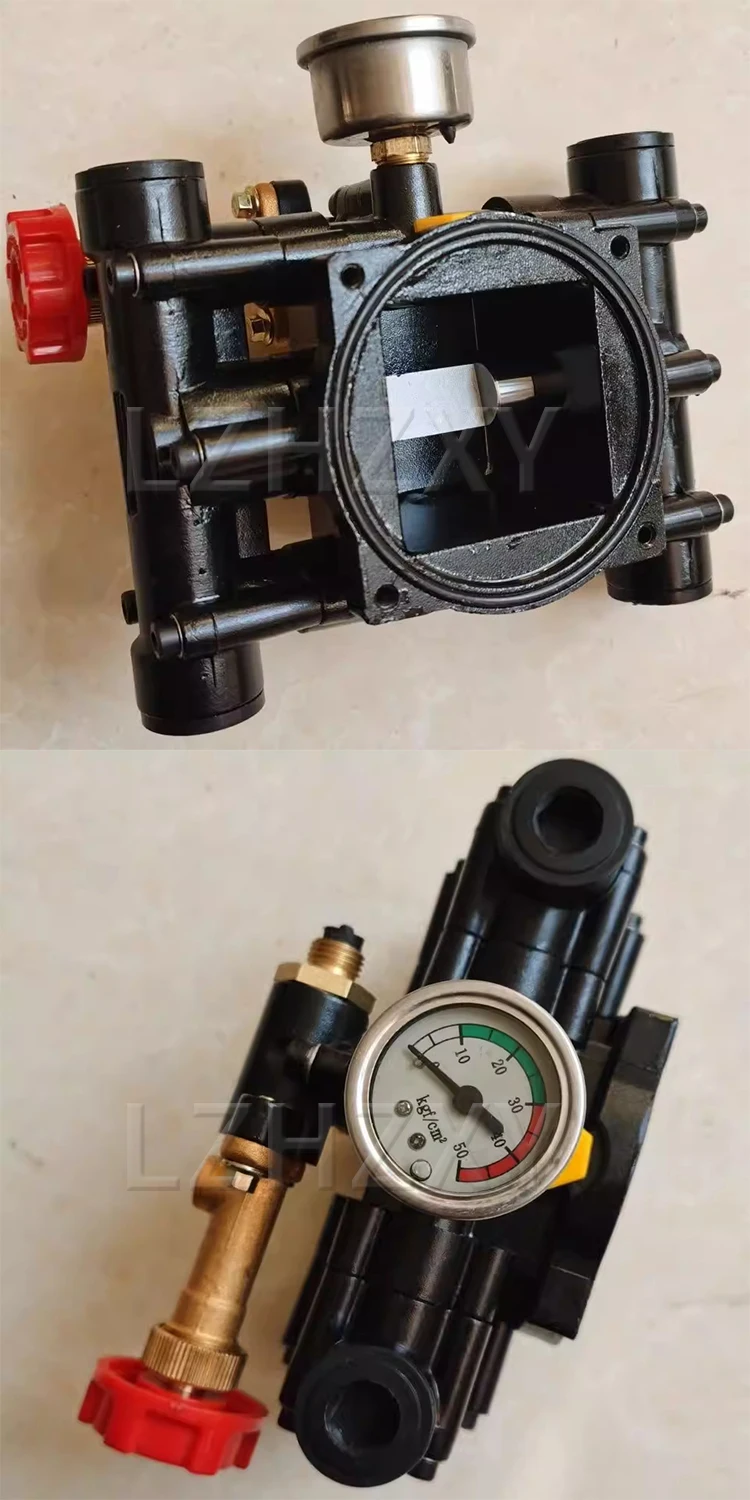 Twin-Cylinder Plunger Pump Head Assembly; Column-Type Pump Head; Pump Head for S