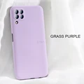 JK Grass purple