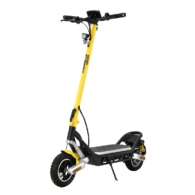 New Off-Road 10 Inch Electric Scooter 500W Motor Folding Fat Tire Folding 36V Electric Scooter, Street Legal