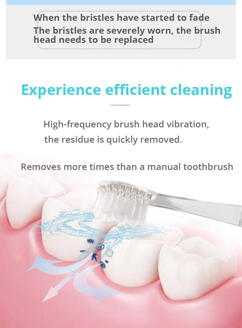 8Pcs Seago Replacement Toothbrush Heads SG-831/832 Soft Bristle Gum Care for Seago Child Electric Toothbrush SG977/EK6/EK7/SG513