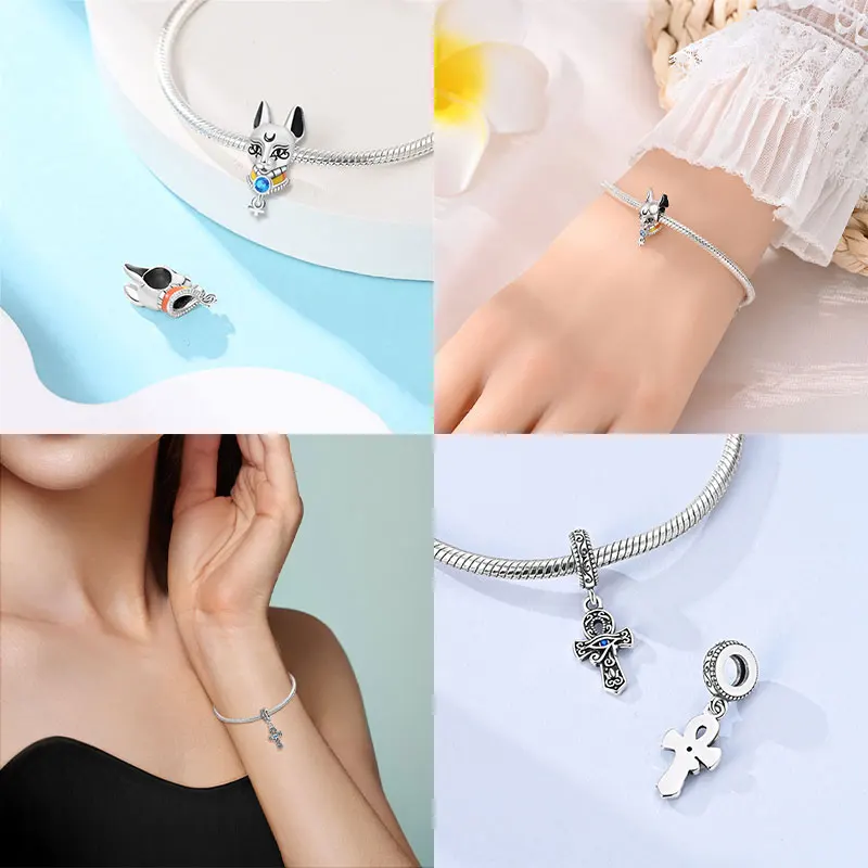 dsc-products