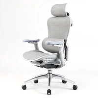 SIHOO Doro C300 Ergonomic Office Chair Soft 3D Armrests Dynamic Lumbar Support Home Office Chair Swivel Computer Desk Chair 1