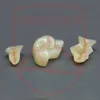 Wissden 5 Pieces Dental Glass Ceramic Press Lithium Disilicate Ingots Dental Lab Materials Same day dispatch can be arranged 4