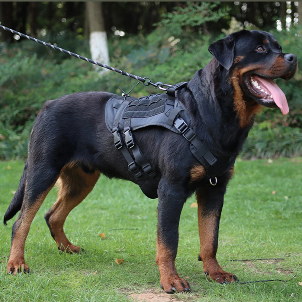 Rottweiler Big Dogs Tactical Harness - bestproductone