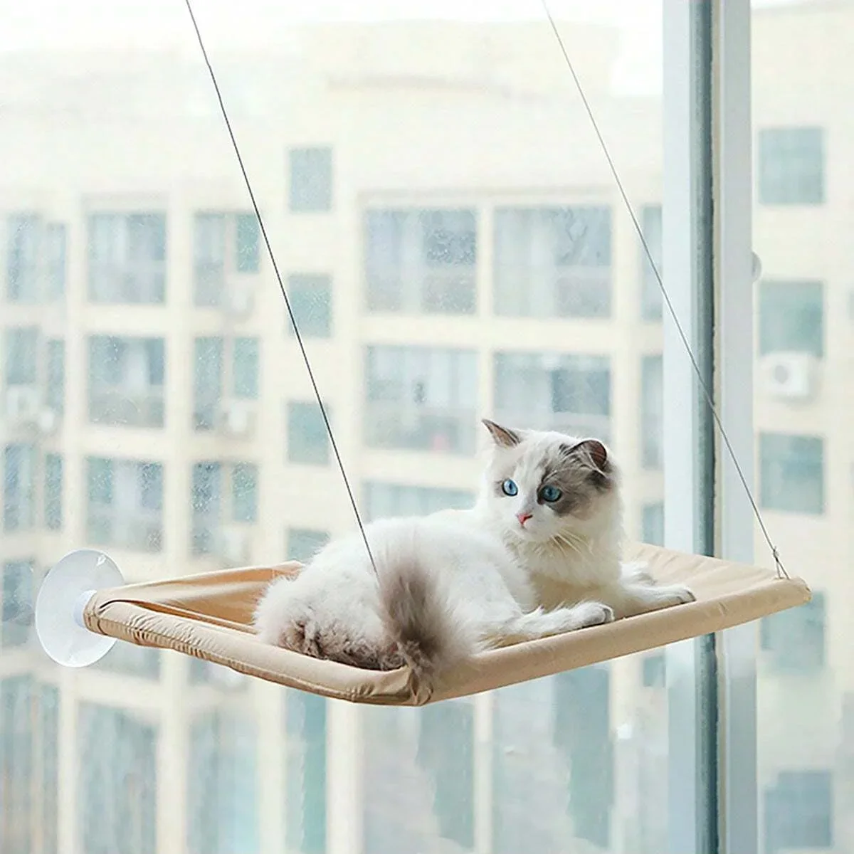 1pc-Pet Cat Hammock Suspended Cat Bed Cat Bed House Kitten Climbing Frame Clear Window Seat Pet Accessory