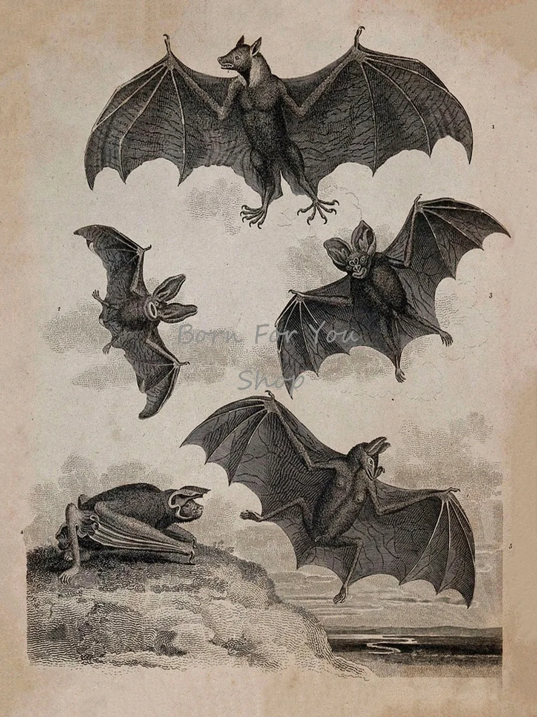 Bat Motion Illustration Canvas Wall Art Gothic Nature Print No Frame Decor