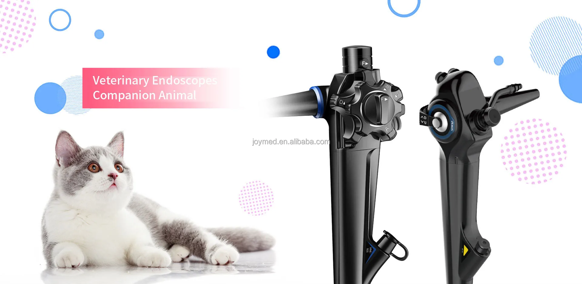 Рисунок 6 - Горячая Распродажа ветеринарный