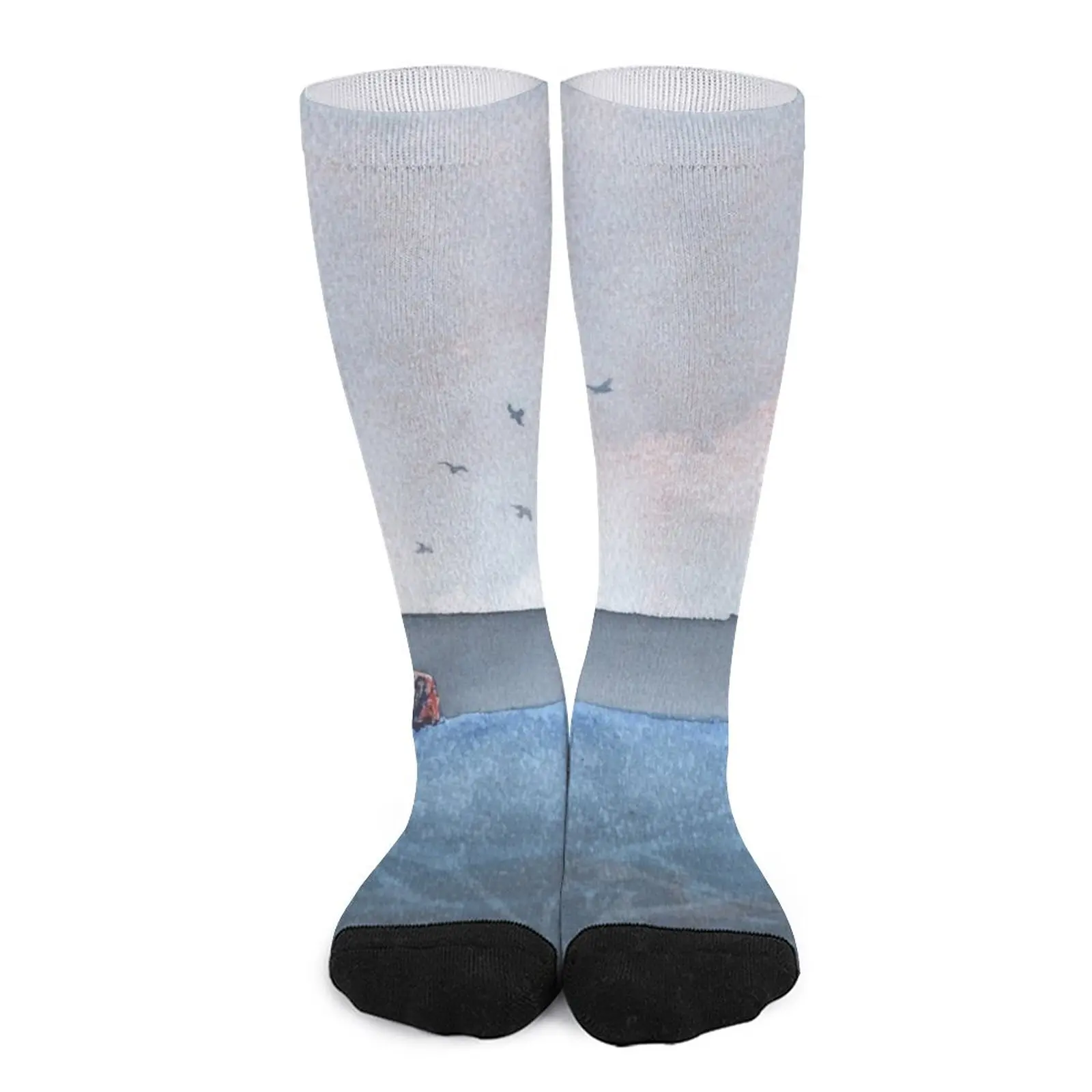 Bass Rock, November 2018 Socks designer socks men socks cotton moving stockings Sock man