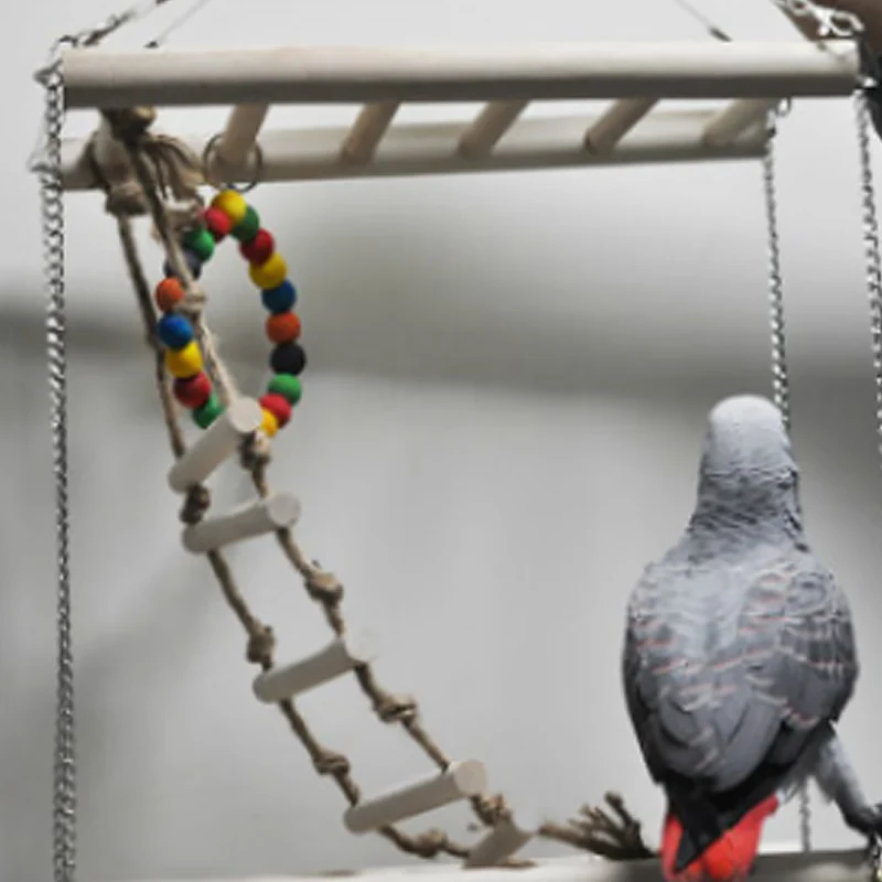 Small Parrot Toy Small Parrot Toy Bird Cage Accessories