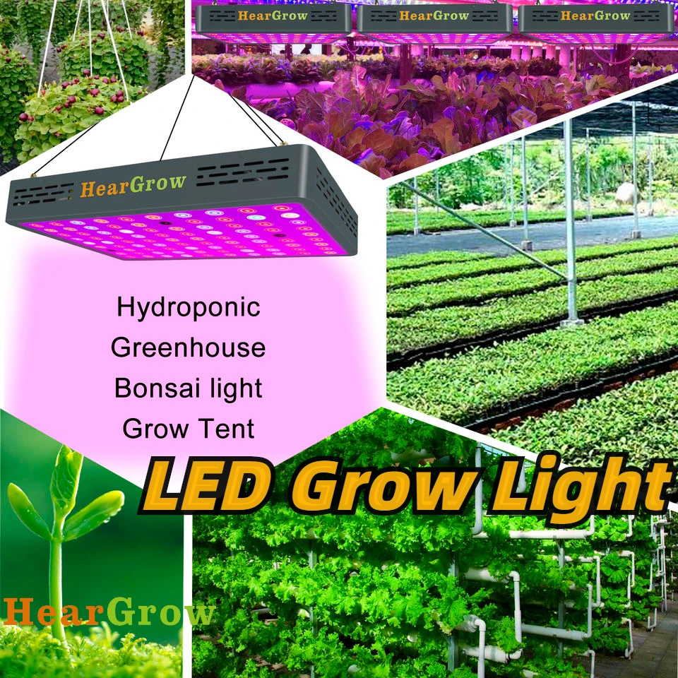 

HearGrow 3000W Remote Control Timing LED Grow Lights Spotlight Large Lamp Beads Seeds Phytolamp For Plants Growbox For Flowers
