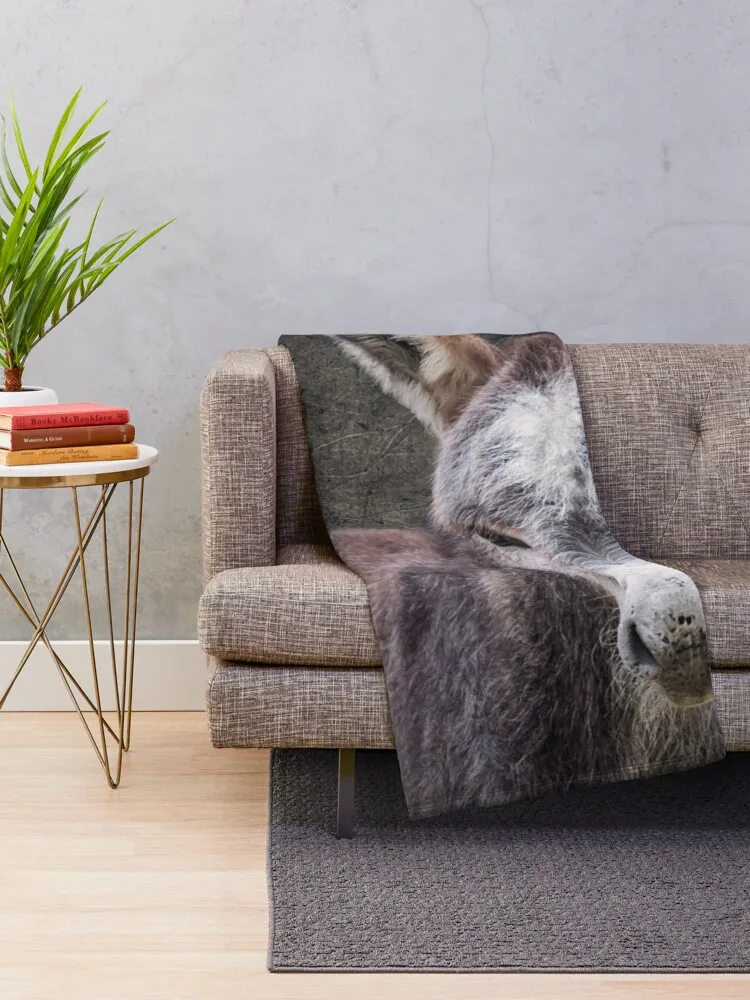 �糪�� ���� ��Ʃ ������ ��� �ε巯�� ħ�� ��� ���� ��� �����̳� ��� ������ ���� ���