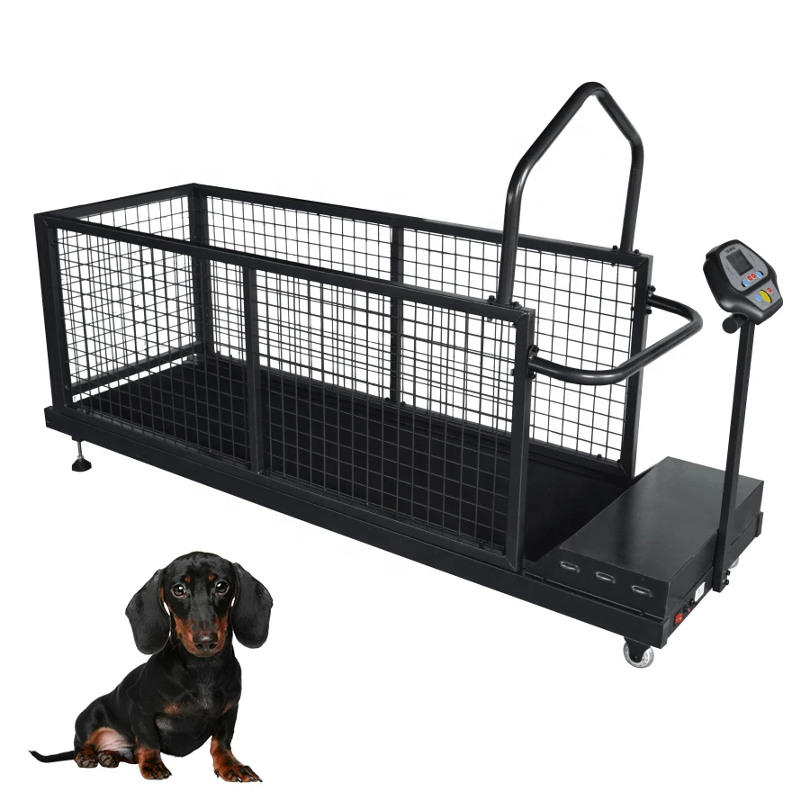 

Cheap treadmill dog walking treadmill dog running machine price