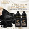 Natural Plant Hair Dye Easy To Use Fast Black Hair No Side Effect Wash Dye 2 In 1 Shampoo 500ml hair dye 3