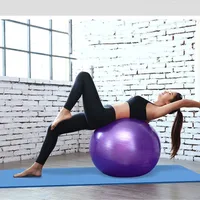 Diameter 45cm PVC Fitness Balls Yoga Ball Thickened Explosion-proof Exercise Home Gym Pilates Equipment Balance Ball 2